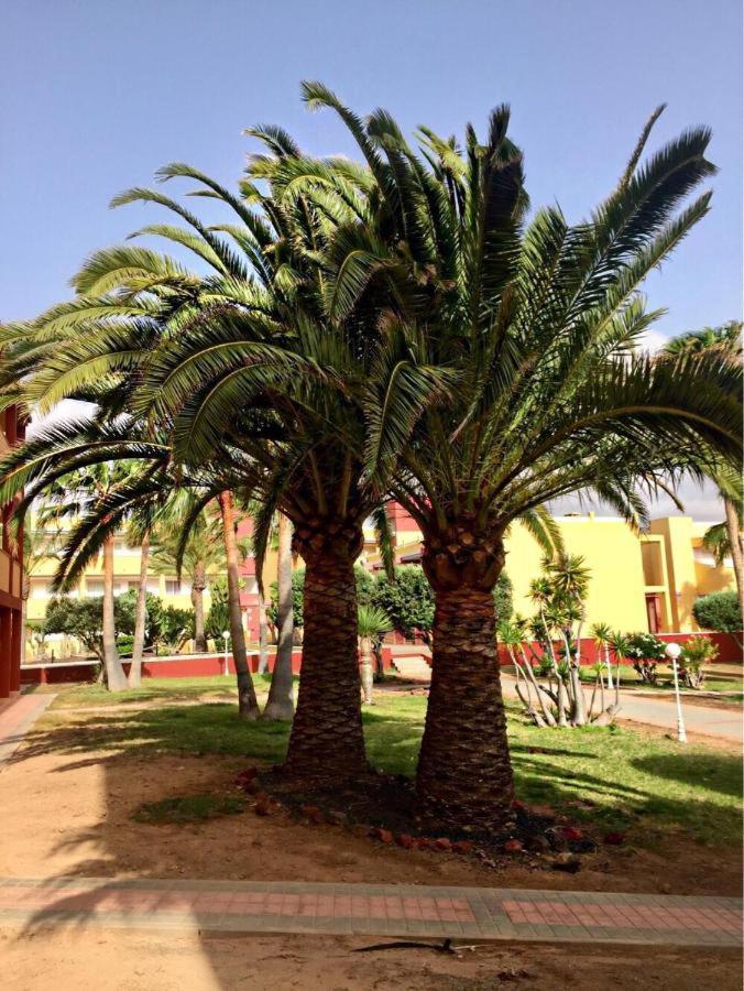 Pax Et Bonum Apartment Parque Holandes Exterior foto